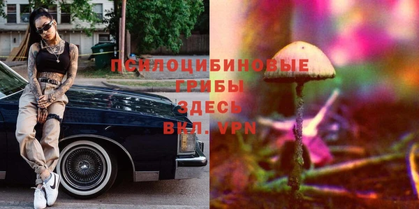 Альфа ПВП Арсеньев
