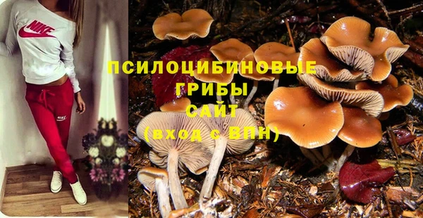 круглые Аркадак